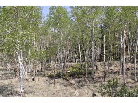 687 Corral Rd, Hartsel, CO 80449