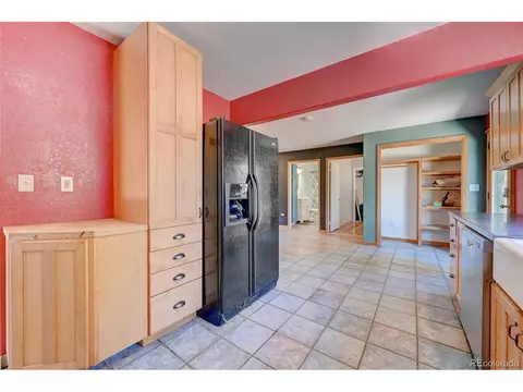 168 Blueberry Trl, Bailey, CO 80421 photo 10