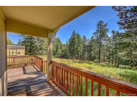 168 Blueberry Trl, Bailey, CO 80421 photo 24