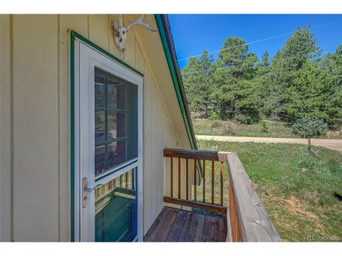168 Blueberry Trl, Bailey, CO 80421 photo 23