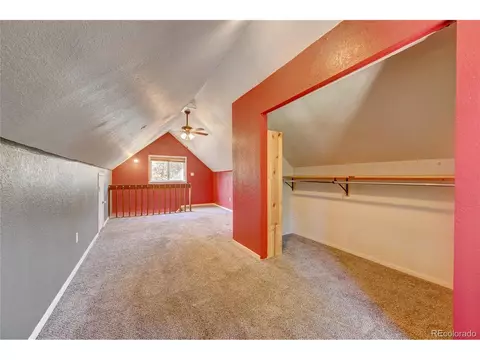 168 Blueberry Trl, Bailey, CO 80421 photo 21