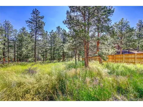168 Blueberry Trl, Bailey, CO 80421 photo 25