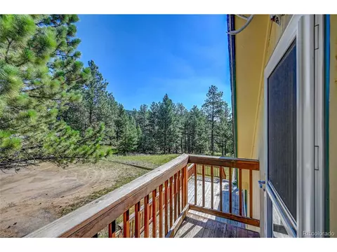 168 Blueberry Trl, Bailey, CO 80421 photo 22