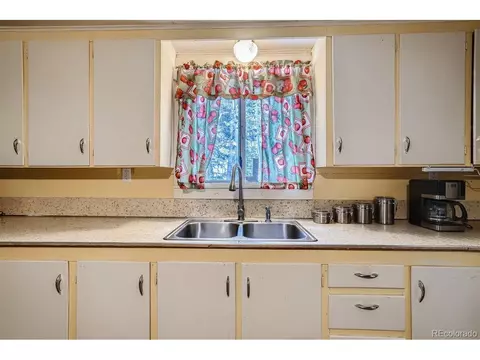 7843 County Road 43, Bailey, CO 80421 photo 7