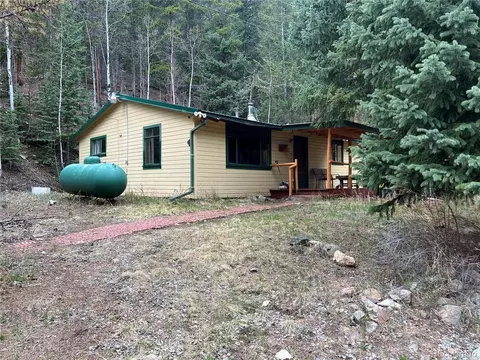 7843 County Road 43, Bailey, CO 80421 photo 15