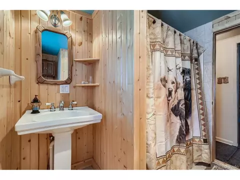 7843 County Road 43, Bailey, CO 80421 photo 12