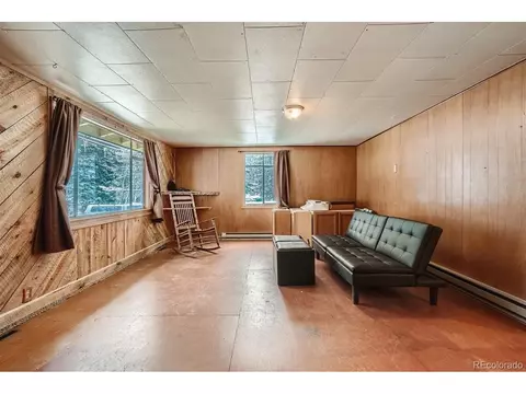 7843 County Road 43, Bailey, CO 80421 photo 4