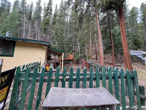 7843 County Road 43, Bailey, CO 80421 photo 16
