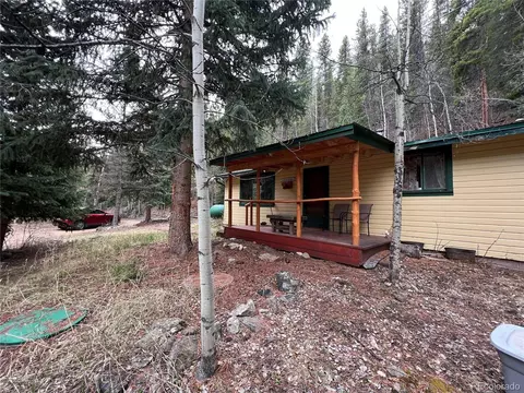 7843 County Road 43, Bailey, CO 80421 photo 2
