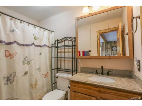 166 Climax Dr, Dillon, CO 80435 photo 20