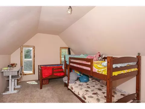 166 Climax Dr, Dillon, CO 80435 photo 15