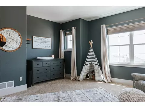 5317 Centennial Ct, Windsor, CO 80550 photo 26