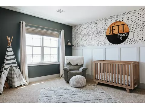 5317 Centennial Ct, Windsor, CO 80550 photo 25