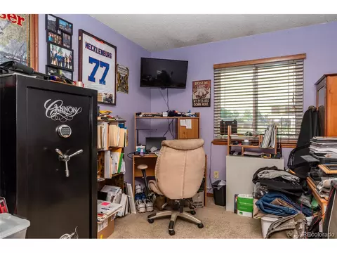 3064 E 101st Ave, Thornton, CO 80229 photo 13