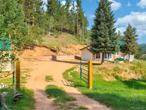 453 Willow Rd, Divide, CO 80814 photo 1