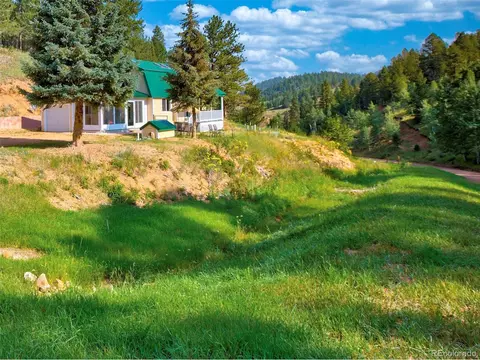 453 Willow Rd, Divide, CO 80814 photo 30