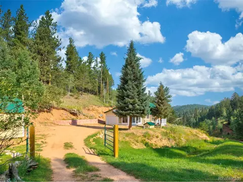 453 Willow Rd, Divide, CO 80814 photo 32