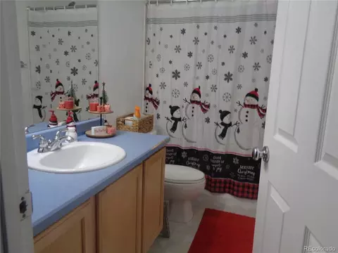 20854 E 47th Ave, Denver, CO 80249 photo 9