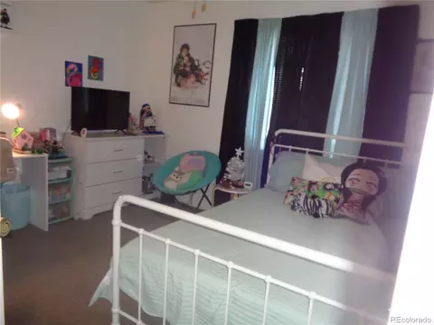 20854 E 47th Ave, Denver, CO 80249 photo 8