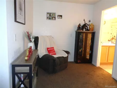 20854 E 47th Ave, Denver, CO 80249 photo 6