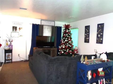 20854 E 47th Ave, Denver, CO 80249 photo 4