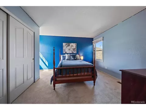 9242 Bauer Ct, Lone Tree, CO 80124 photo 28