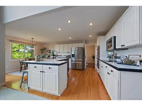 9242 Bauer Ct, Lone Tree, CO 80124 photo 10