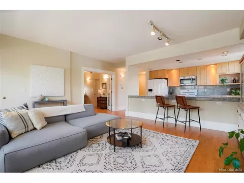424 E 1st Ave #2A, Denver, CO 80203 photo 5