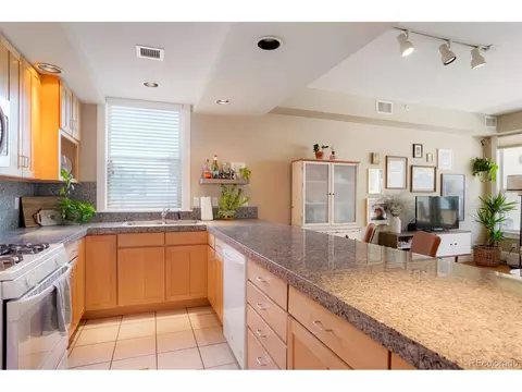 424 E 1st Ave #2A, Denver, CO 80203 photo 8