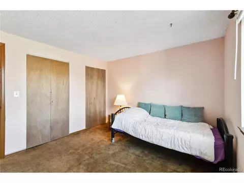 185 Mckinley Dr, Bennett, CO 80102 photo 15