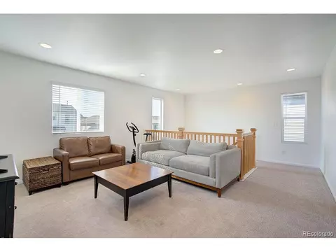 5506 Bexley Dr, Windsor, CO 80550 photo 15