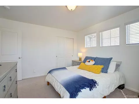 5506 Bexley Dr, Windsor, CO 80550 photo 23