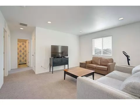 5506 Bexley Dr, Windsor, CO 80550 photo 17