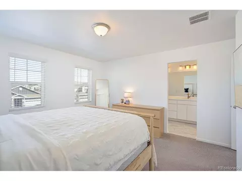 5506 Bexley Dr, Windsor, CO 80550 photo 20