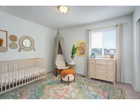 5506 Bexley Dr, Windsor, CO 80550 photo 27