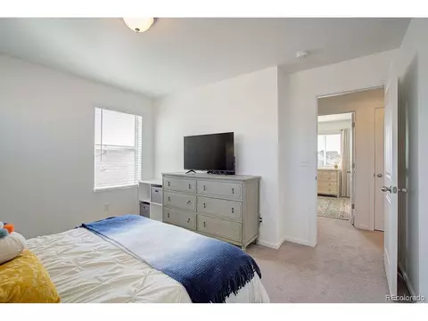 5506 Bexley Dr, Windsor, CO 80550 photo 24