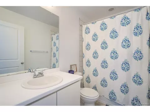 5506 Bexley Dr, Windsor, CO 80550 photo 25