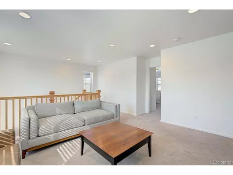 5506 Bexley Dr, Windsor, CO 80550 photo 16