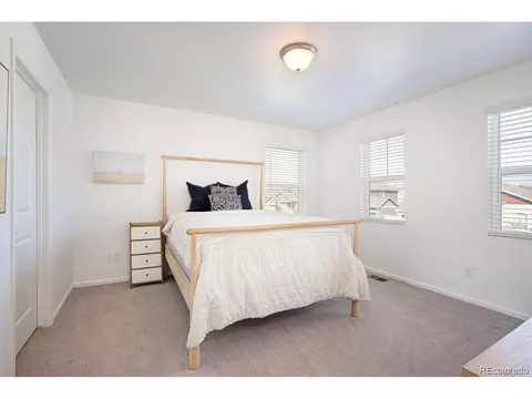 5506 Bexley Dr, Windsor, CO 80550 photo 19