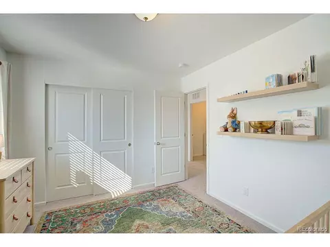 5506 Bexley Dr, Windsor, CO 80550 photo 26