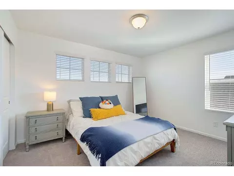 5506 Bexley Dr, Windsor, CO 80550 photo 22