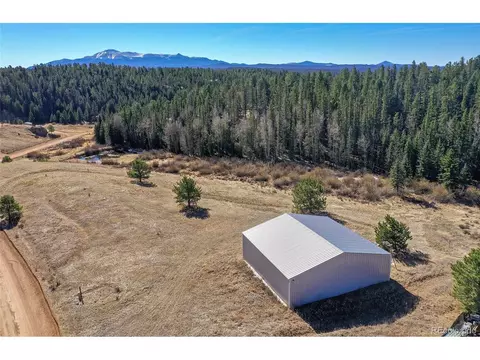 169 Saddleback Creek Dr, Florissant, CO 80816