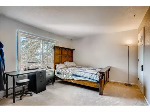 330 Holmes Gulch Rd, Bailey, CO 80421 photo 20