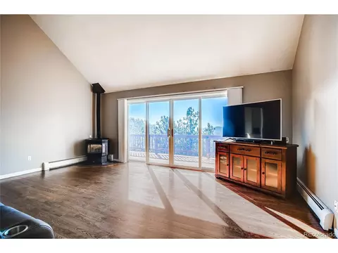 330 Holmes Gulch Rd, Bailey, CO 80421 photo 5