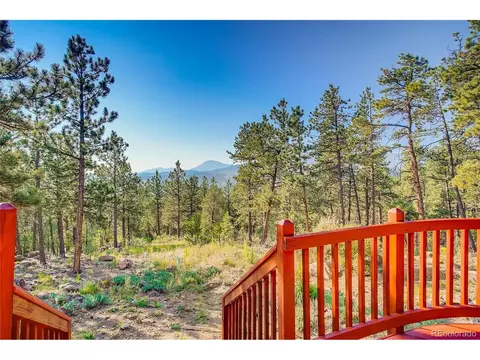 330 Holmes Gulch Rd, Bailey, CO 80421 photo 24