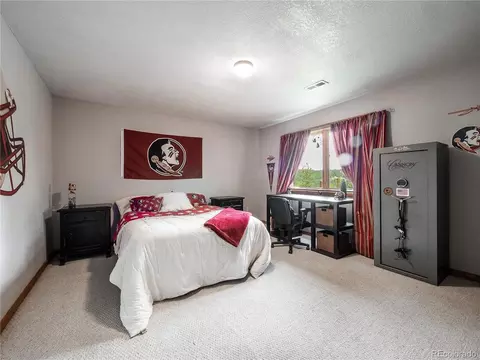 237 Panorama Dr, Bailey, CO 80421 photo 25