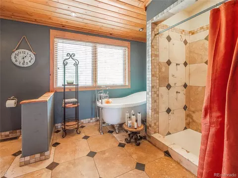 237 Panorama Dr, Bailey, CO 80421 photo 18