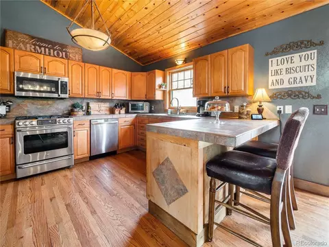 237 Panorama Dr, Bailey, CO 80421 photo 12