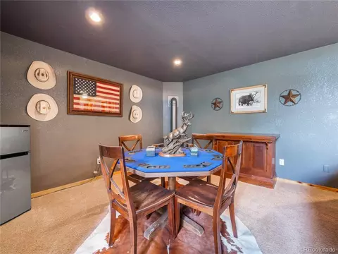 237 Panorama Dr, Bailey, CO 80421 photo 24