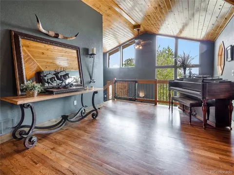 237 Panorama Dr, Bailey, CO 80421 photo 8